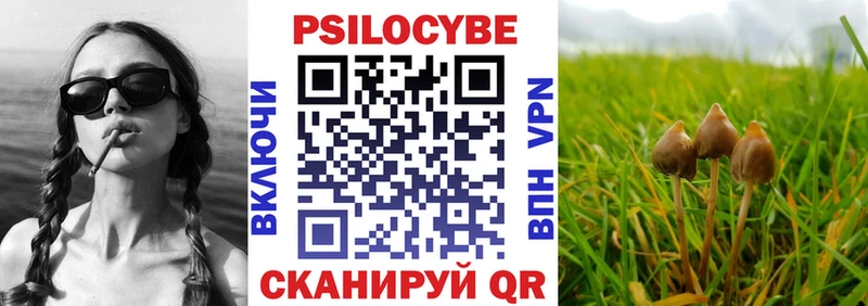 Галлюциногенные грибы мицелий Городовиковск